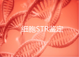 細胞STR鑒定機構   北京細胞STR鑒定中心