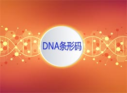 DNA條形碼技術介紹